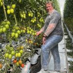 harvest forecast