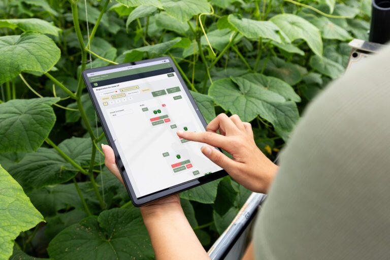 greenhouse planning